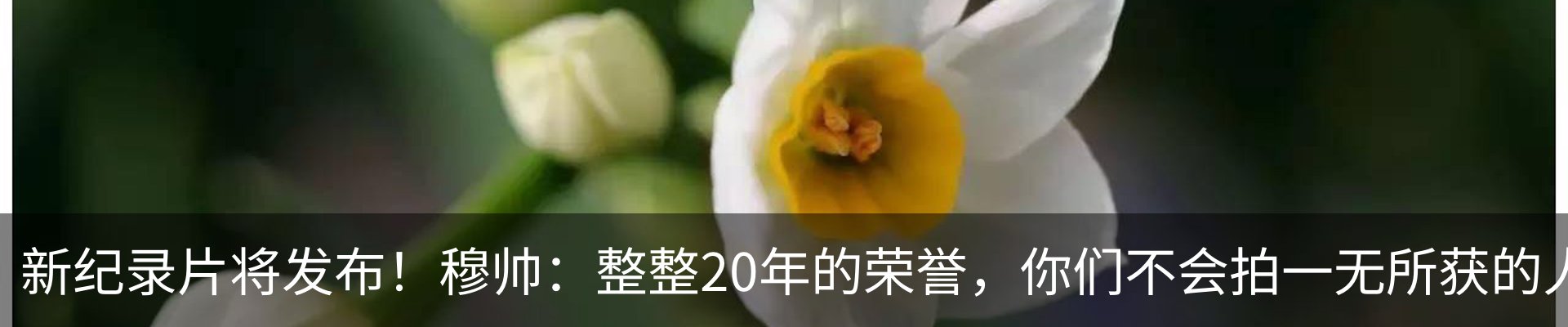 资讯动态