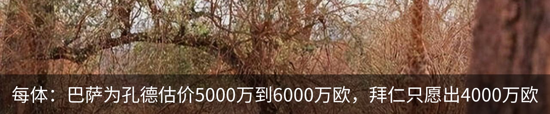 资讯动态